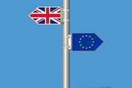 Pół roku po faktycznym wyjściu z UE Brytyjczycy podzieleni w kwestii brexitu