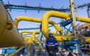 Gazprom wstrzymał dostawy gazu ziemnego do Finlandii