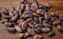 Niedaleko Malagi pierwsza w Europie kontynentalnej plantacja kakaowca