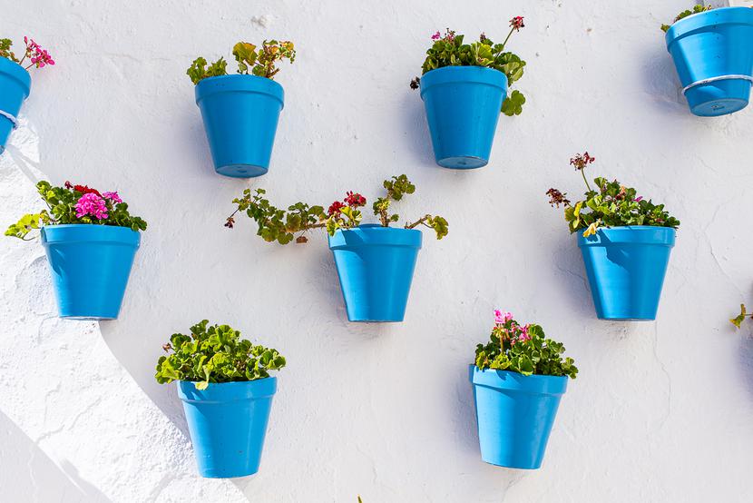 Dekoracje: Dekoracje: