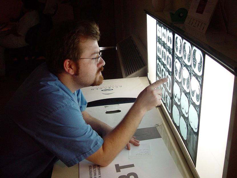 Wikimedia Commons