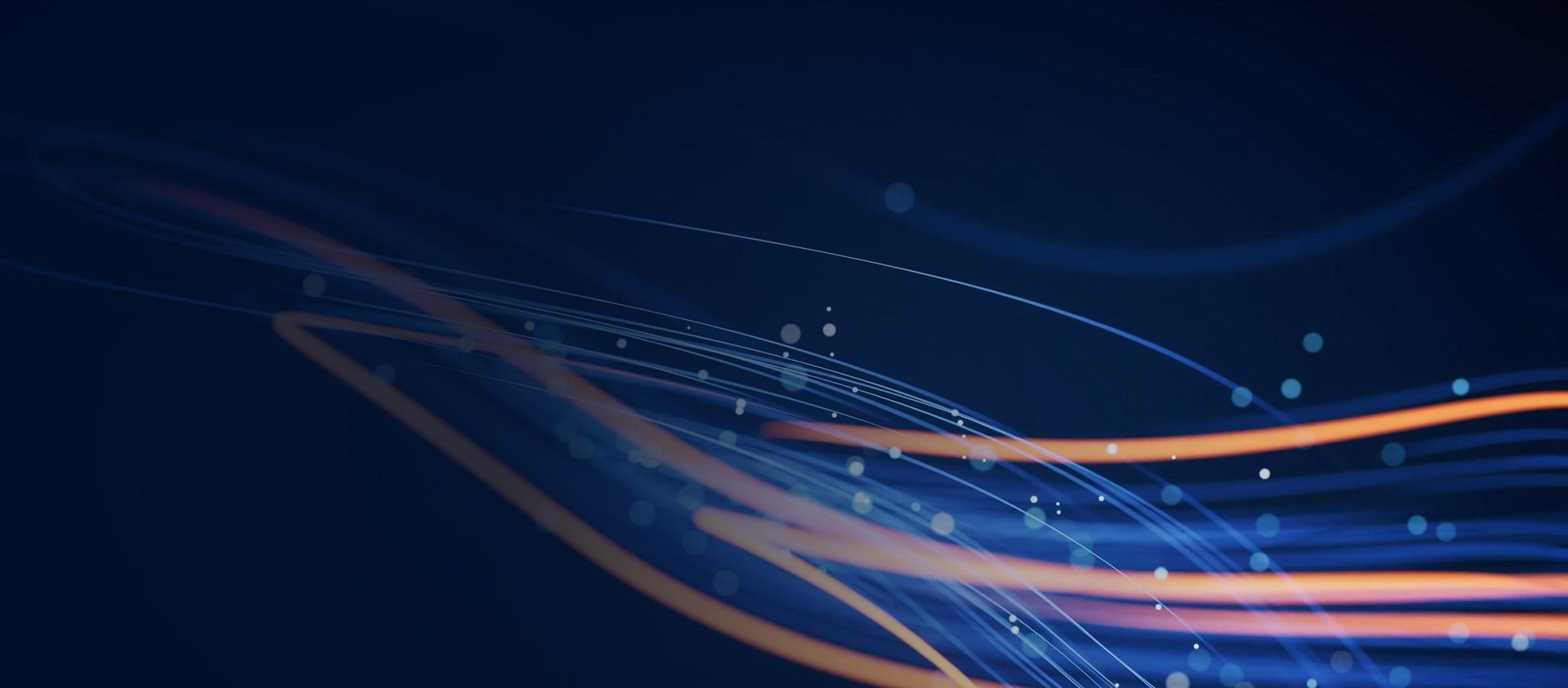 E-commerce Evolution Summit