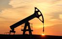 Ceny ropy naftowej na 7-letnich maksimach