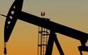 Iran zaproponuje obniżenie poziomu produkcji ropy przez OPEC