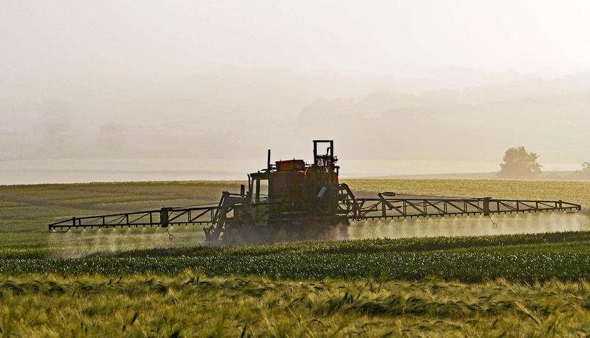 Przekroczenia dopuszczalnych poziomów pozostałości pestycydów zdarzają się, np. gdy rolnik nie przestrzega zasad stosowania danego środka ochrony roślin.