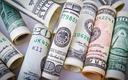 Wahania dolara w obliczu niejednoznacznych danych