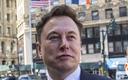 Musk: Starlink gotowy do uruchomienia „wersji beta” publicznych usług