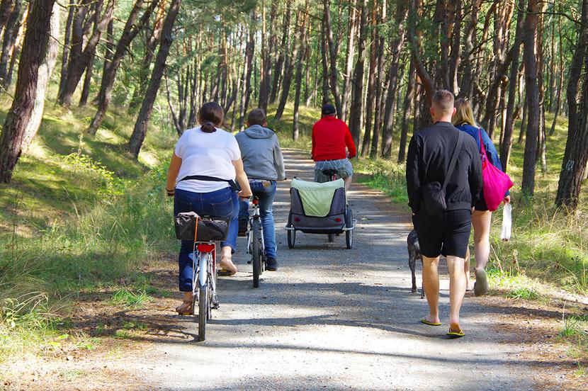 Park Krajobrazowy Mierzei Wiślanej: Park Krajobrazowy Mierzei Wiślanej: