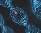 Dziedziczenie epigenetyczne: naukowcy o “punkcie przełomowym” w badaniach