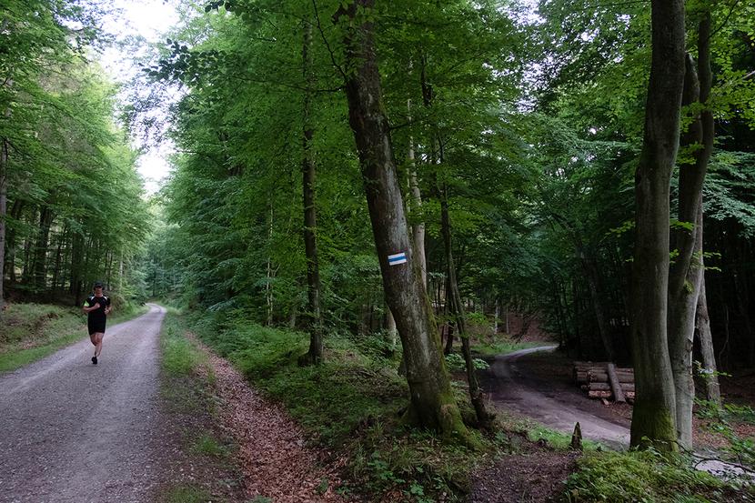 Szlak z Gdyni Orłowa do Sopotu Szlak z Gdyni Orłowa do Sopotu