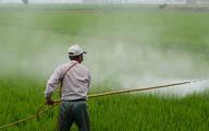 Pestycydy zagrażają dzieciom w Polsce. Gorzej jest tylko w Czechach [RAPORT UNICEF]