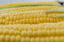 Dalszy ciąg zwyżek cen kukurydzy i soi