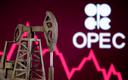OPEC+ nie zamierza zwiększać wydobycia ropy ponad plan