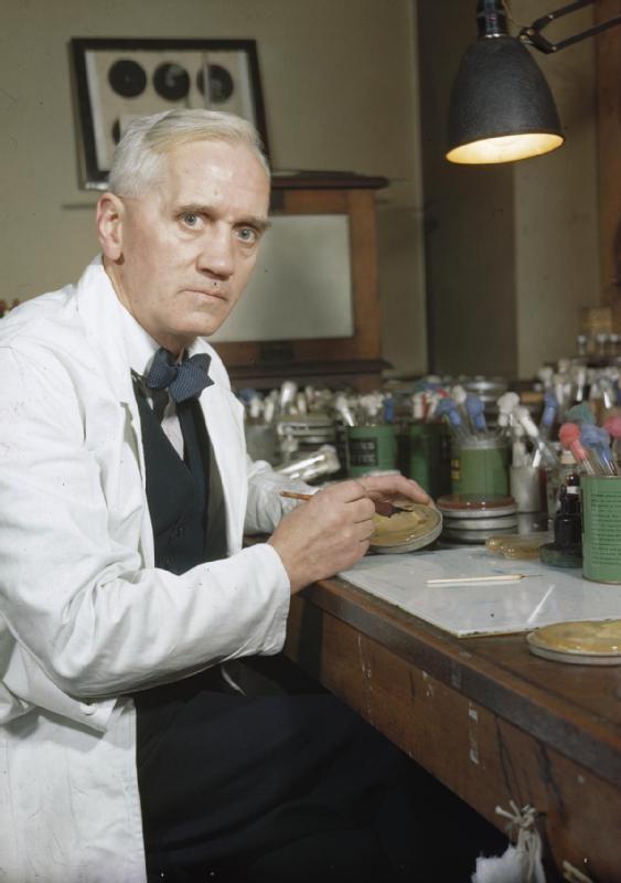 Alexander Fleming w swoim londyńskim laboratorium.