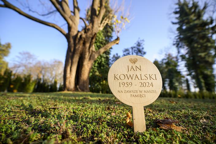 Bez plastiku i szkła