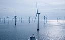 Kilkanaście największych światowych firm chce budować z PGE wiatraki na Bałtyku