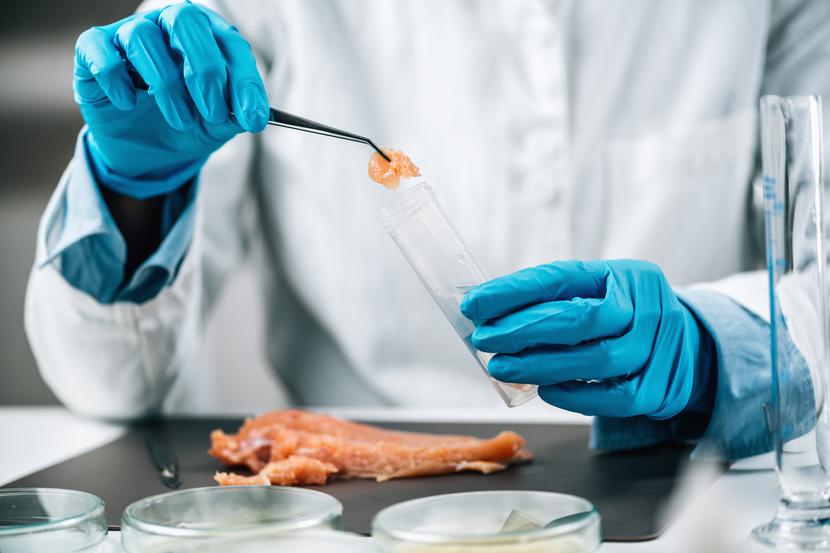 Przeniesienie antybiotykoopornych bakterii na ludzi może nastąpić przez spożycie surowego mięsa lub innego produktu, który został nimi skażony podczas wstępnej obróbki w kuchni (np. deska do krojenia, nóż, zlew) lub przechowywania w lodówce. Przeniesienie antybiotykoopornych bakterii na ludzi może nastąpić przez spożycie surowego mięsa lub innego produktu, który został nimi skażony podczas wstępnej obróbki w kuchni (np. deska do krojenia, nóż, zlew) lub przechowywania w lodówce.